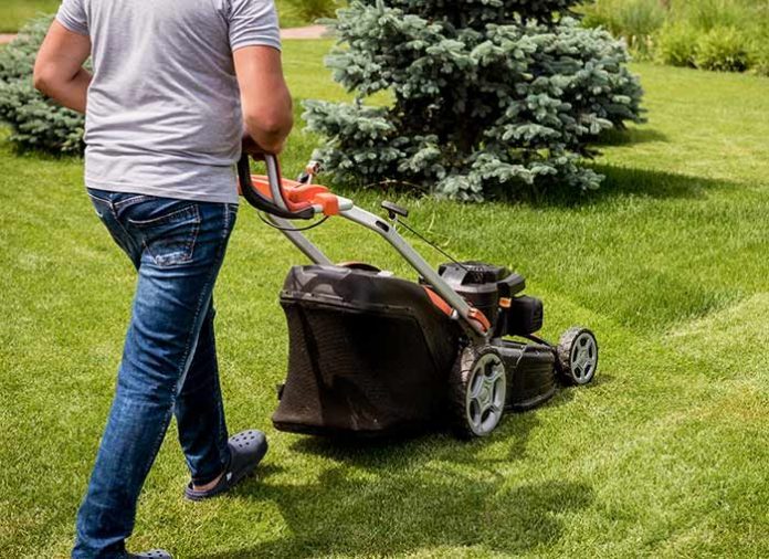 cheap lawn mowing services